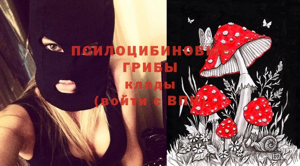 spice Абаза