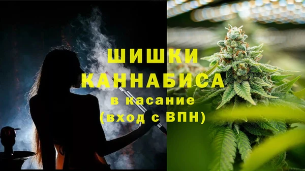 spice Абаза